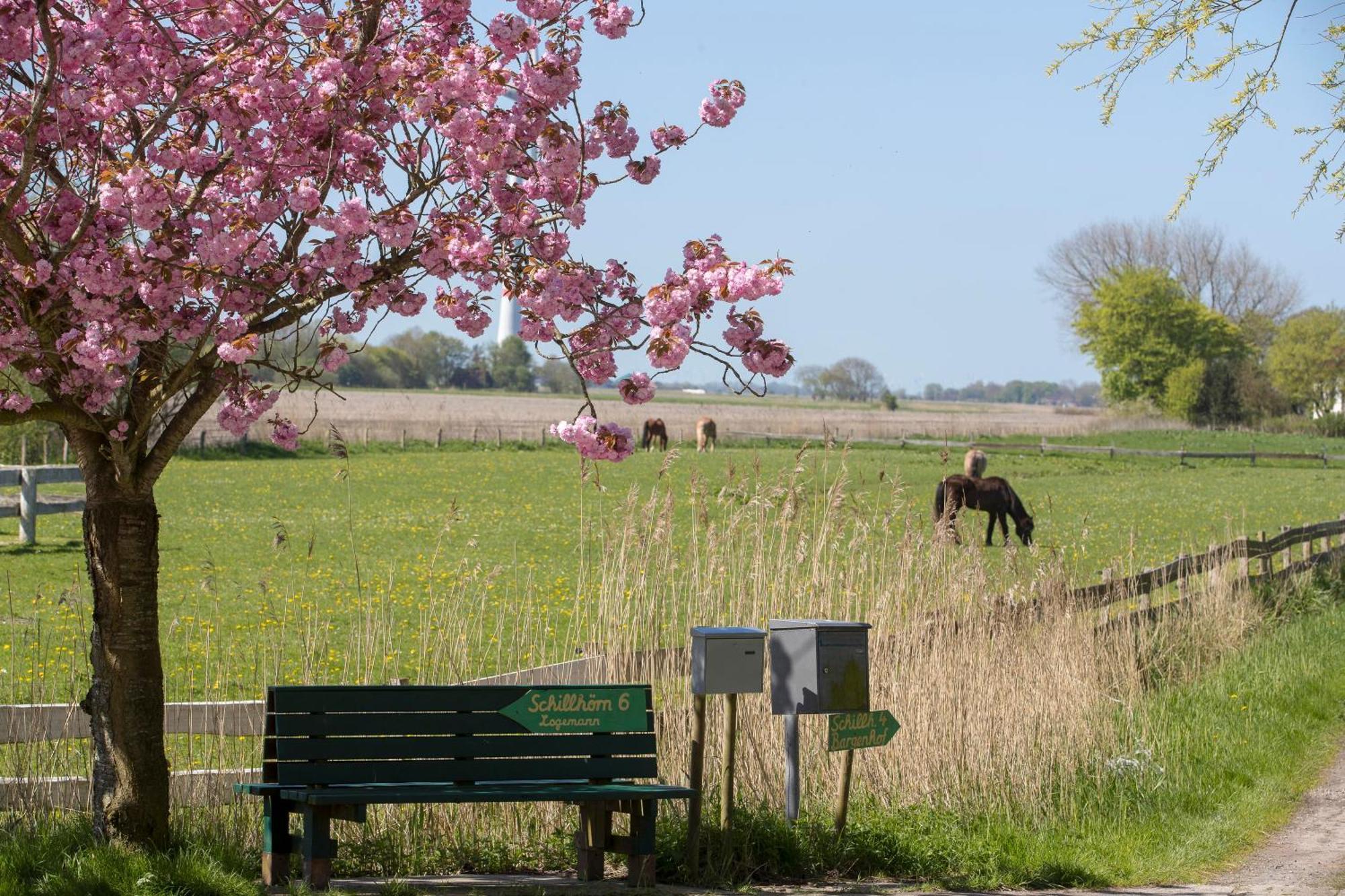 Fischerhaeuschen Am Kurpark Neuharlingersiel Exterior photo